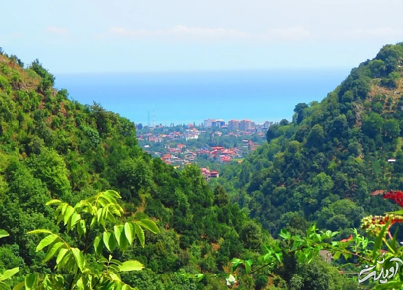 (تصاویر) آرامش جنگلهای زیبای سرولات و جنگسرا